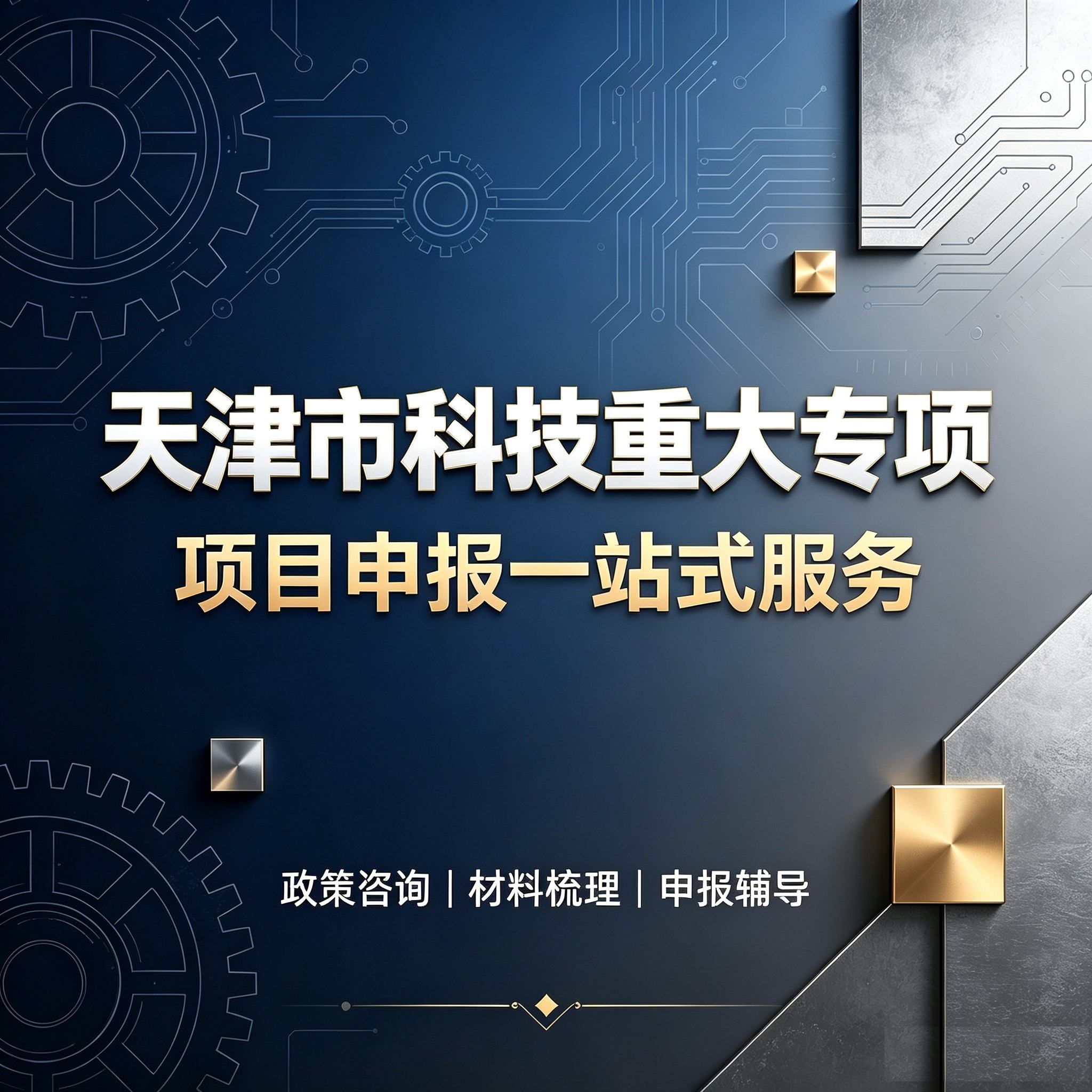 天津市科技重大专项项目(咨询服务)